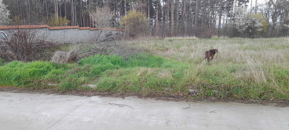 Продава се Парцел в с. Великденче, Област Търговище - 780 кв.м за 9 €/кв.м - Снимка #1