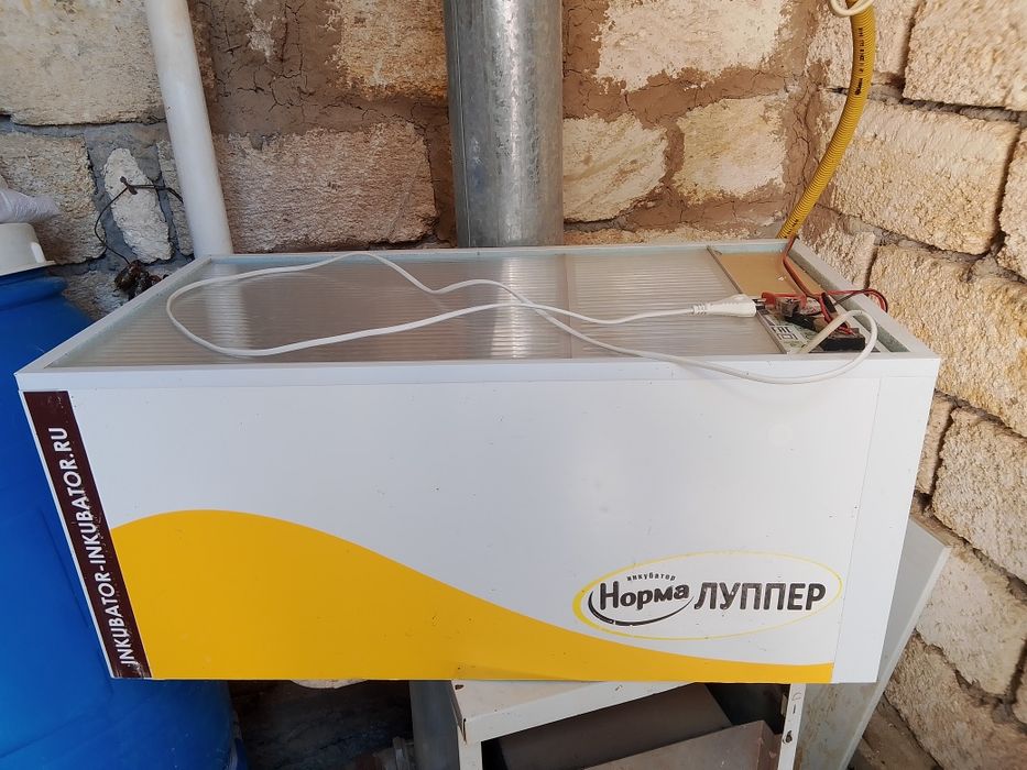 Инкубатор сатылад