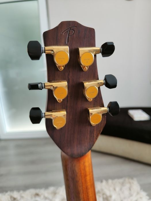 Chitara electro-acoustica Terry Pack