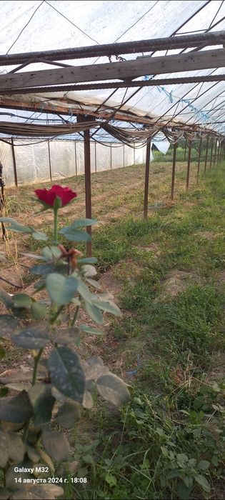 Уй 6 хона, 14 сотих,..