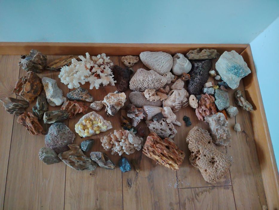 Pietre decor acvariu