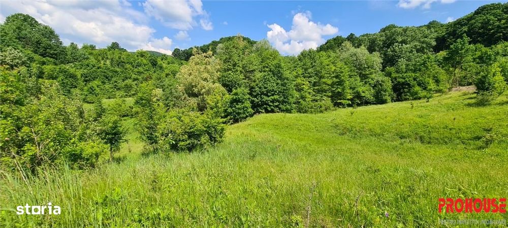 Teren 2033 mp- langa padure-  Margineni- Podis Dubas