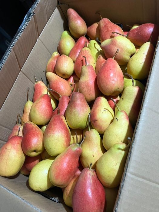 Апорт яблоки груши с доставкой