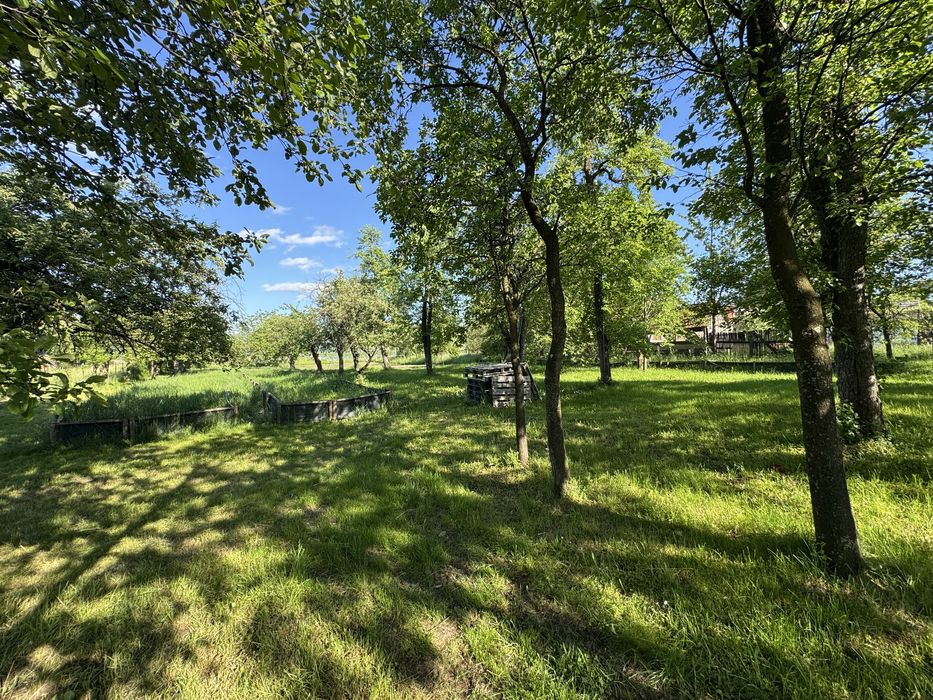 Teren intravilan 3000 mp – CENTRU Budila
