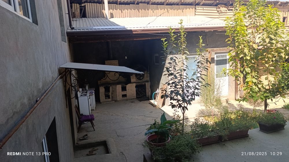 Уй сотилади кўк сарой институтда