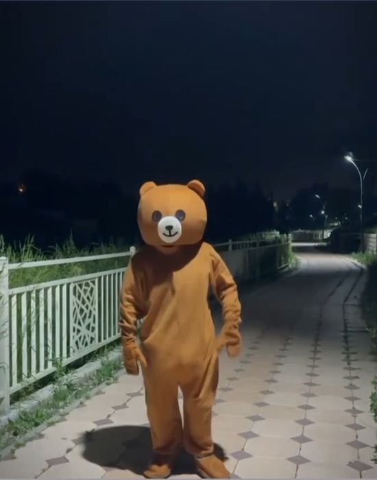 Тейди мишка сатылады