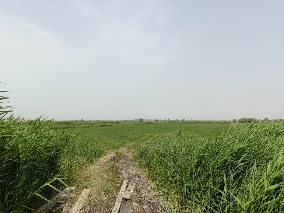 Продам участок КХ!