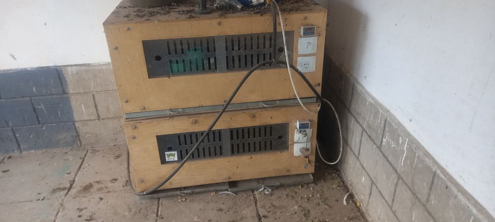 Брудер для цыплят