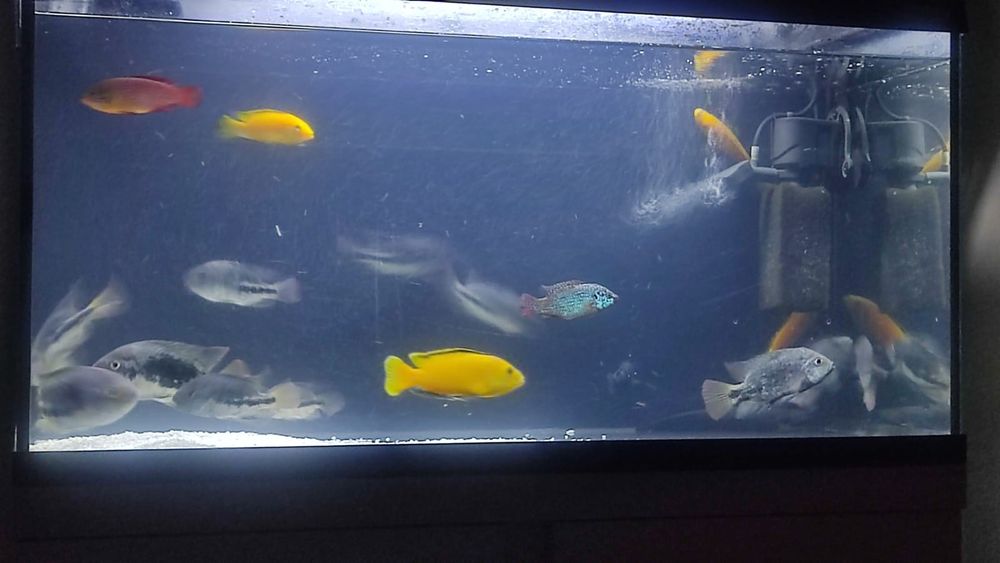 Продам аквариум aguael