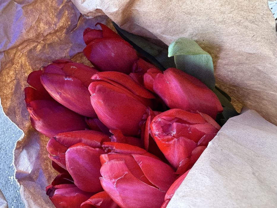 Тюльпаны ,  букеты из тюльпанов