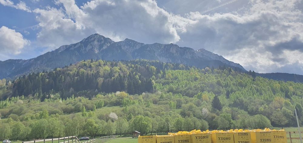 Teren de vânzare Plaiul Foii- Zărnești