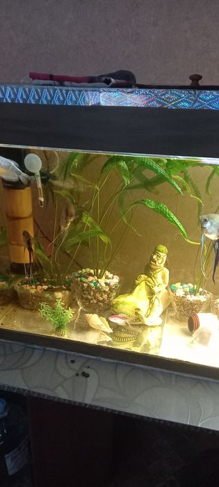 Аквариум 160 литров