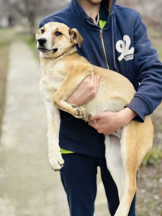 Звоночек девочка ищет семью