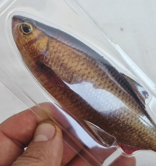 Shad Westin Ricky the Roach Shadtail, 14cm, 42gr,  Real Clear Rudd Bulk.