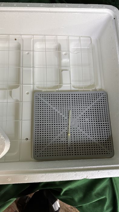 Инкубатор Несушка 77 яиц в Алматы