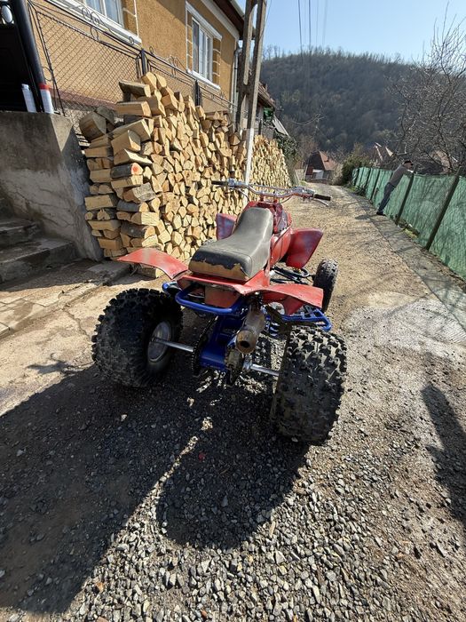 Vad gas gas 450 cc wild