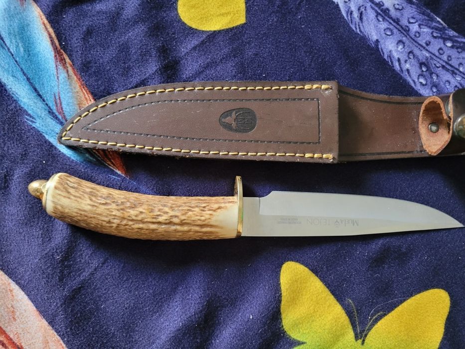 Vintange cutit Muela jabali tejon