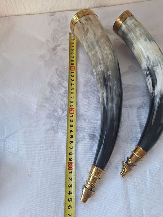 Чаша от естествен рог с бронзов  обков и бронзов  а лъвска глава