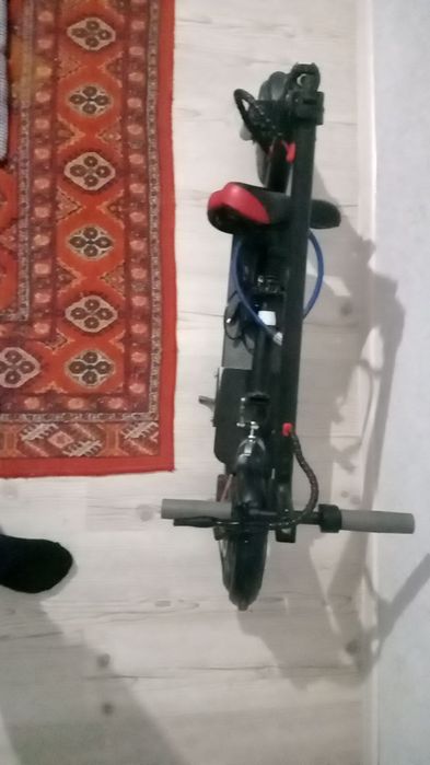 Samakat kop xaydalmagan xolati yangi