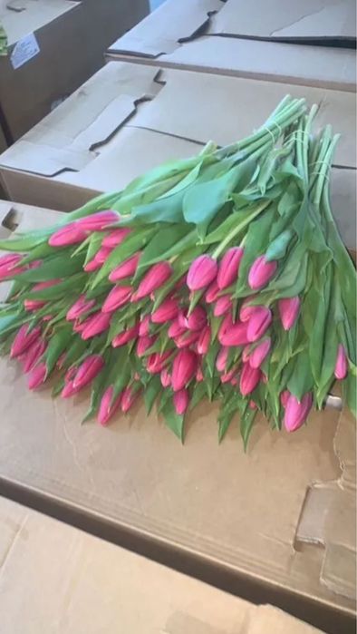 {}тюльпаны •цветы