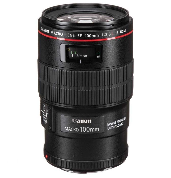 Canon EF 100 mm f/2.8L Macro IS USM