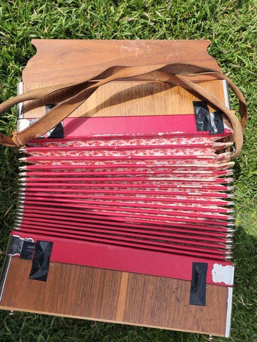 Acordeon Heligonka / armonică