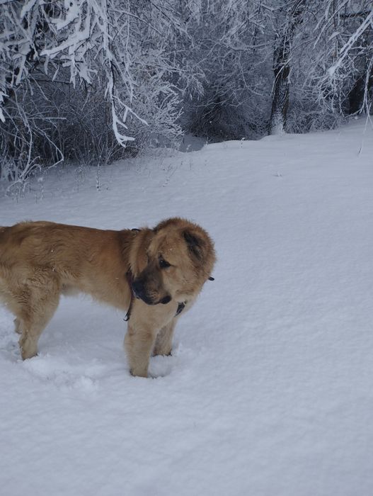 Открыт для вязок.