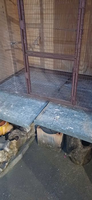Клетка за папагали