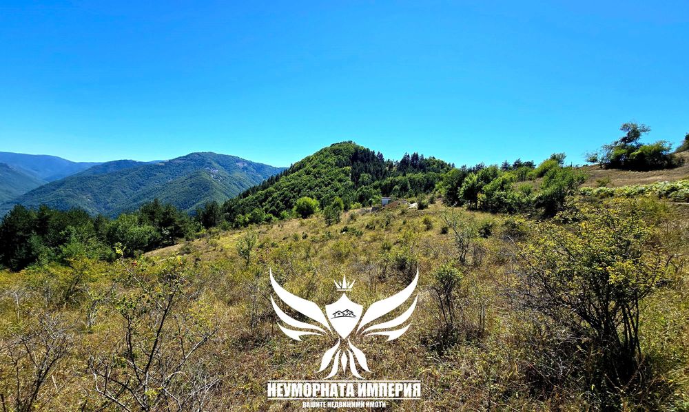 Продава се Парцел в с. Борово, Област Пловдив - 8188 кв.м за 10 €/кв.м - Снимка #14