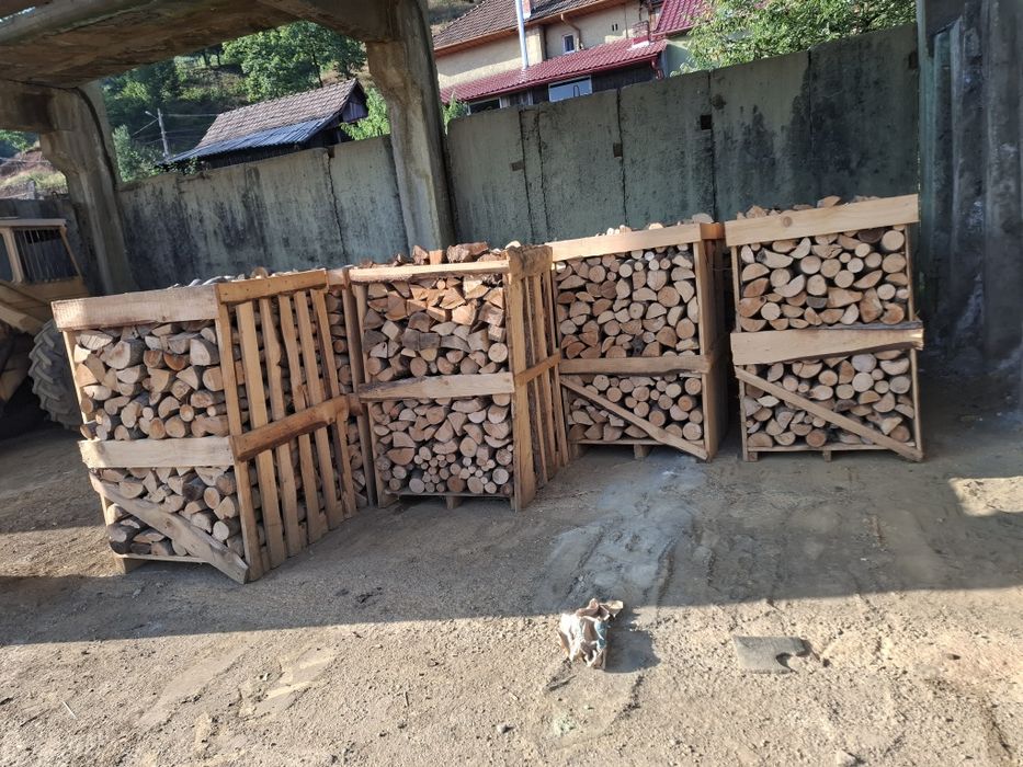 Vănd lemn foc la palet de 1,5 metri steri