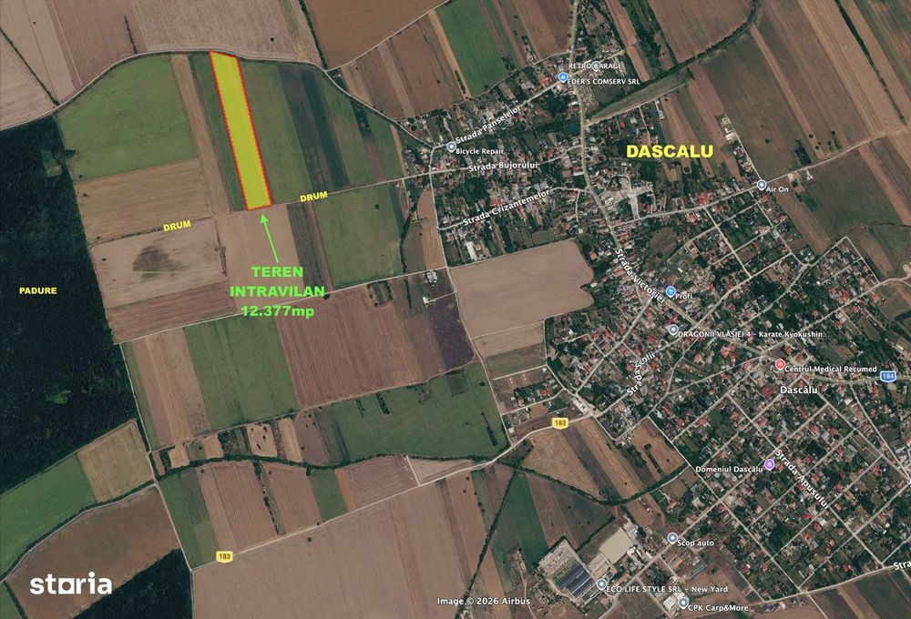 OCAZIE! Teren INTRAVILAN 12.377mp DASCALU, Ilfov, padure, RATE!