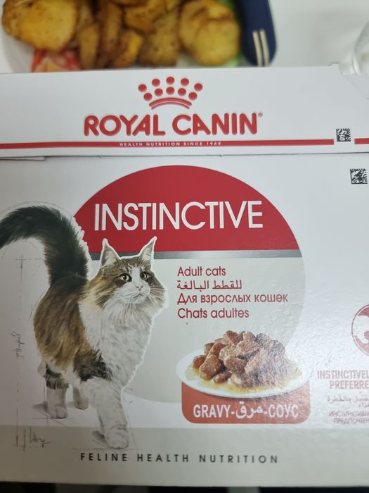 Влажный кошачий корм