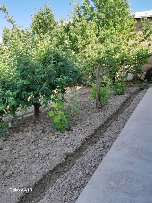 Yer sotiladi 4 so'tiq Buloqboshi MFY da hamma sharoyitlar bor