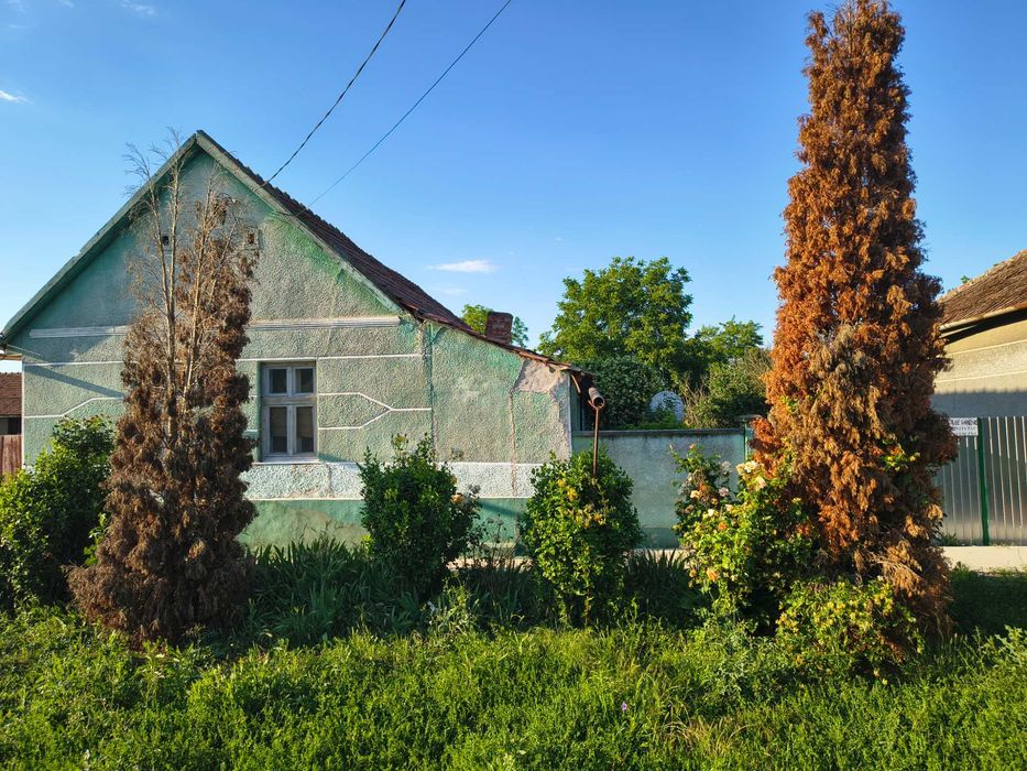 Casă de vânzare