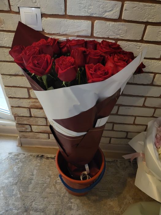 Цветы  Розы голландские 25 штук, высота 1,2м