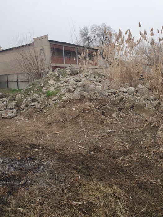 Сатылатын битон бар