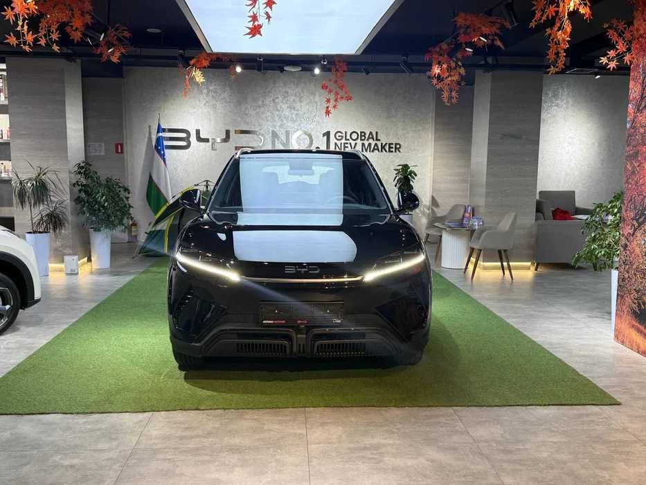Byd Yuan Up EV 401 km Flagship