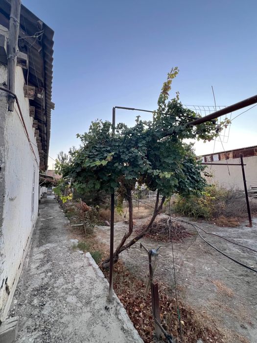 Hovli sotiladi 14 sotixli