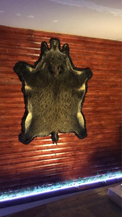 Cazare la munte,1Mai la Munte