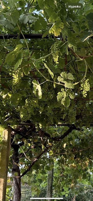 Продава се Къща в Бургас, Меден рудник - зона В - 100 кв.м за 450 €/кв.м - Снимка #6