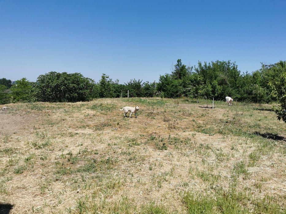 Продава се Къща в Лом - 100 кв.м за 102 €/кв.м - Снимка #7