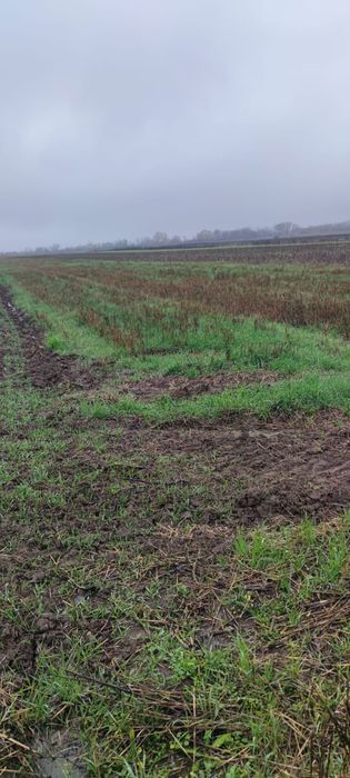 Vand teren in zona Ștefănești / Dobrusa la  drumul principal  3500mp