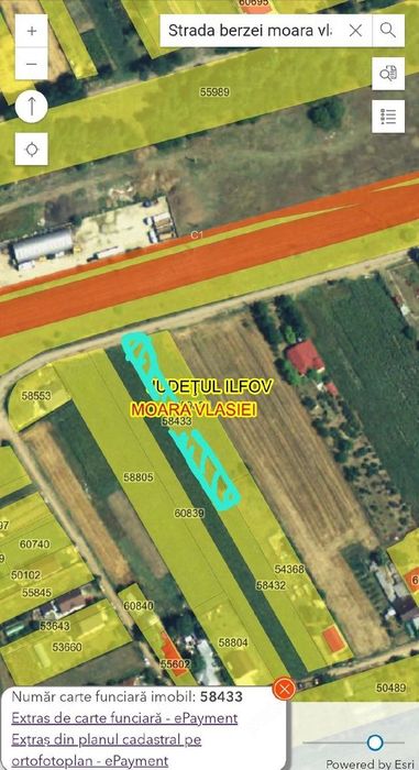 Teren intravilan 1.000 mp | Moara Vlăsiei | Strada Berzei
