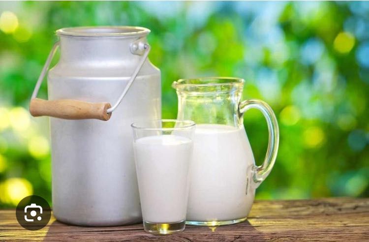 Lapte de capră ! Fără gust și miros! Si telemea !!