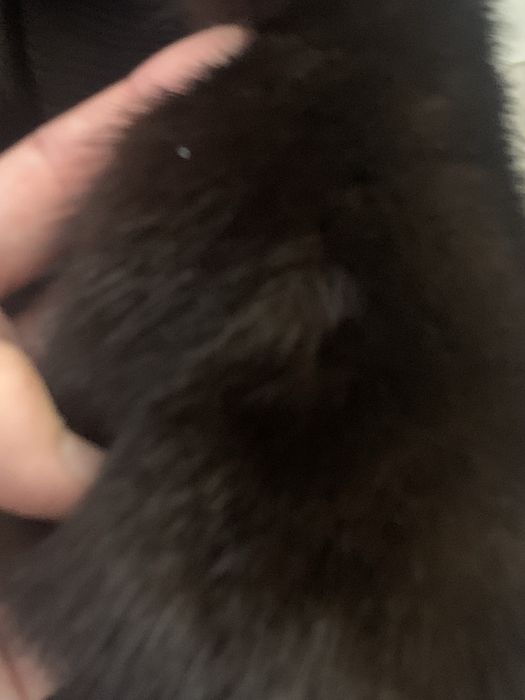 Продается шуба женская