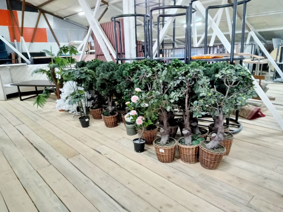 Плиты духовки холодильники диваны столы тестомесы