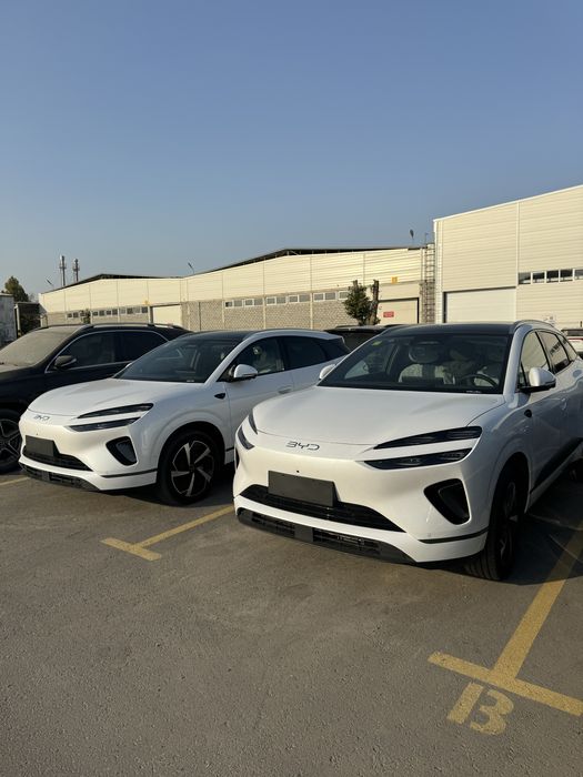 BYD Sealion 06  Pilot Plus 2025/2026