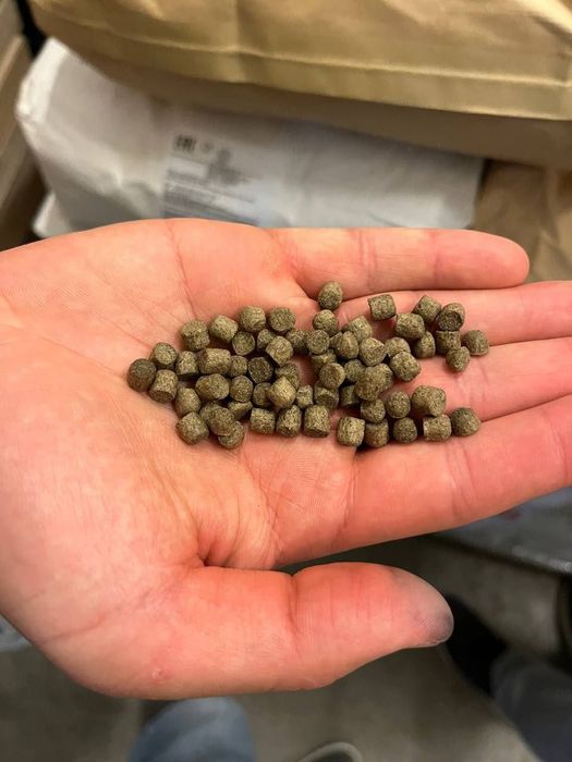 BioMar узбекистан корм для прудовых рыб и УЗВ. ( сазан ) Балик Ем