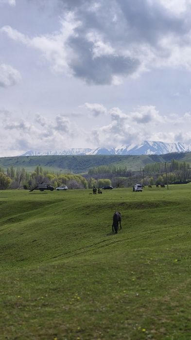 Спотор для кузовных работ