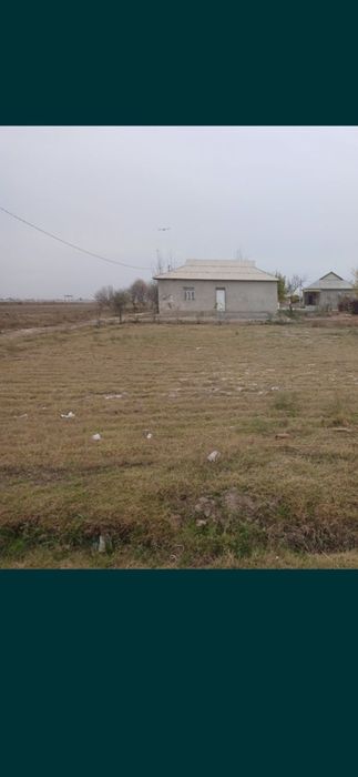 10 Soʻtixli tomorqa